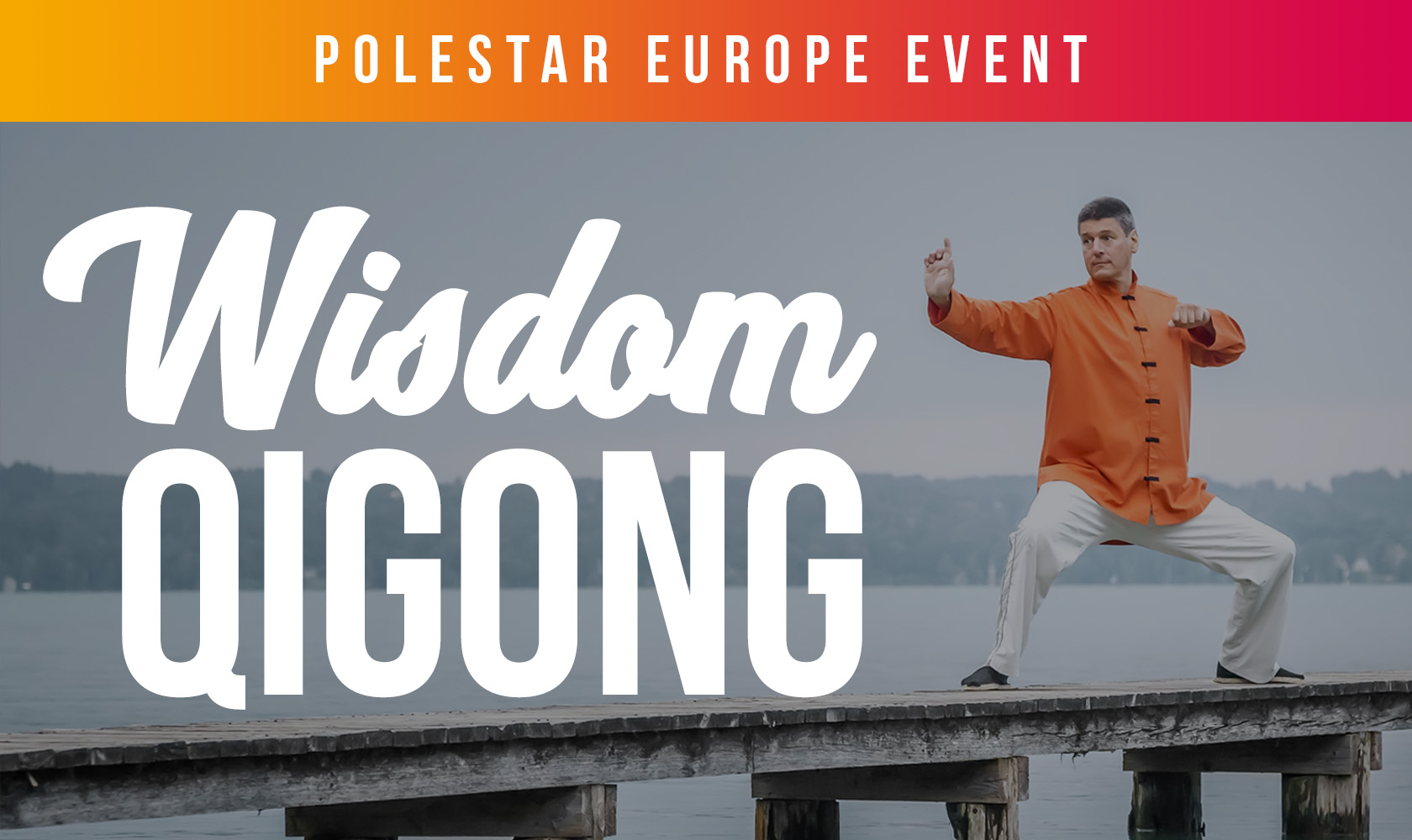 Wisdom Qigong (Polestar Europe Conference)